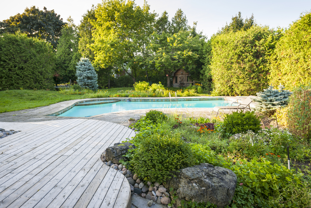 Des plantes entourant un jardin en été.