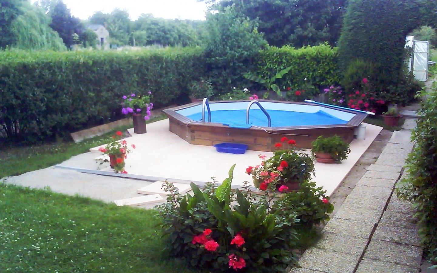 plantes fleuries autour d'une piscine en bois