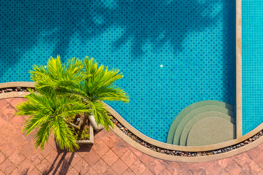 Vue du dessus, une piscine et une plante.